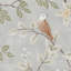 Superfresco Easy Birds of a Feathers Floral Fern Wallpaper
