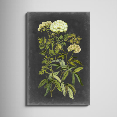 «Bookplate Floral I» par Naomi McCavitt, reproduction d'art sur toile
