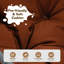Lit-chat avec support et coussin-1632652245-1632652246
