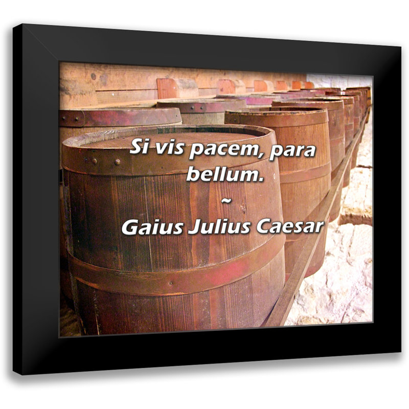 Citation de Gaius Julius Caesar: Si vis pacem, para bellum.