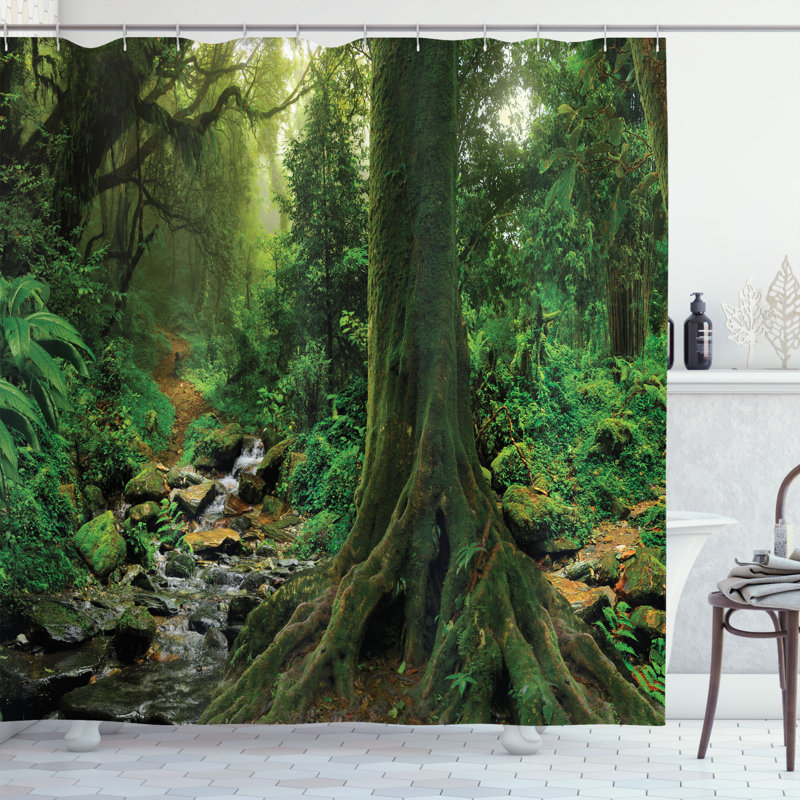 Apartment Shower Curtain with Hooks Included, 70" H x 69" W