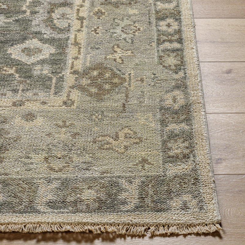 Biscayne Wool Oriental Area Rug, Rectangle 8' x 10'