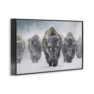 Bison indomptable dans la neige, estampe numérique par Mark Kelso