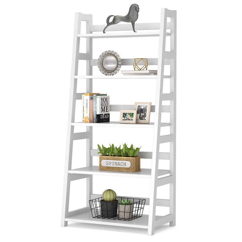 Fatoumata Ladder Bookcase, White