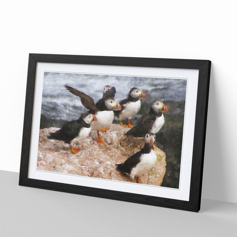 Atlantic Puffin Birds Vol.3 - Picture Frame Graphic Art, 48cm H x 65cm W x 2cm D, Black Framed