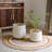 Pot Planter-715314714