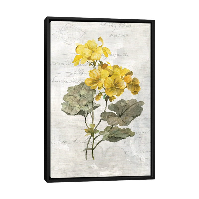 «Canary Linen Geranium» par Carol Robinson - reproduction d'art, Aucun mat, Toile avec cadre noir, H 26 po x l 18 po x 1,5 po