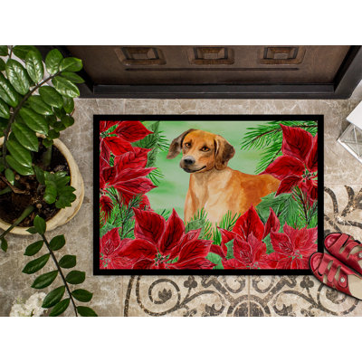 Rhodesian ridgeback poinsettas 36 po x 24 po tapis de porte extérieur antidérapant