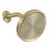 Full/Standard Fixed Shower Head 1.75 GPM GPM