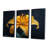 Gotcher - Lilies Wall Art Set-107214188-107214193