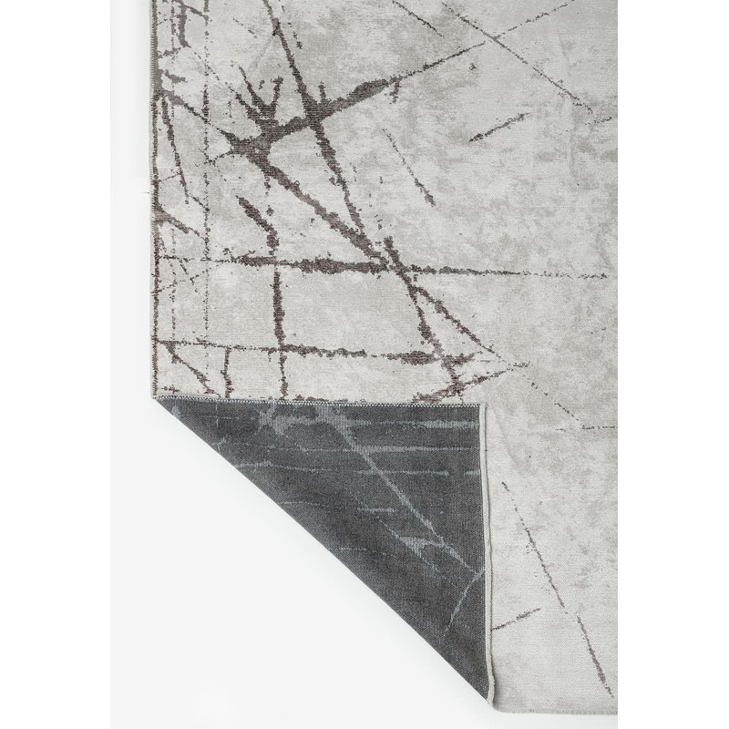 Amous Rectangle Abstract Cotton and Viscose Indoor / Outdoor Area Rug, Rectangle 6'6" x 9'10"