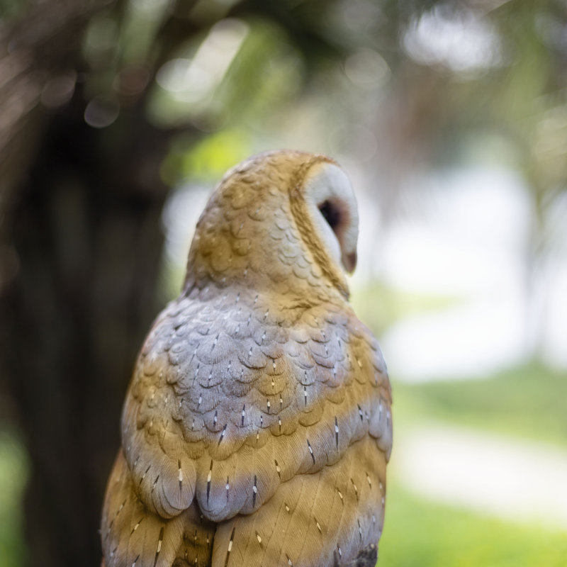 Polyresin Garden Statue