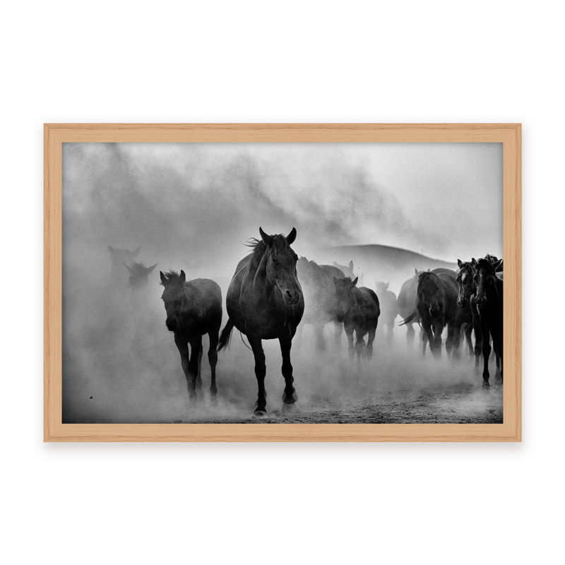 Nature Inspired Untitled by  - Picture Frame Photograph on Paper, 16" H x 24" W x 1.125" D, Black, Framed Matted Print
