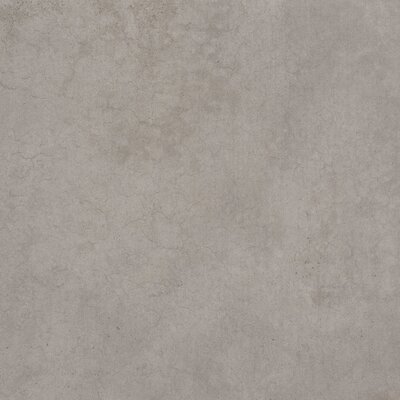 Networkâ¢ 31"" x 31"" Porcelain Stone Look Wall & Floor Tile -  Emser Tile, A40NETWGR3131