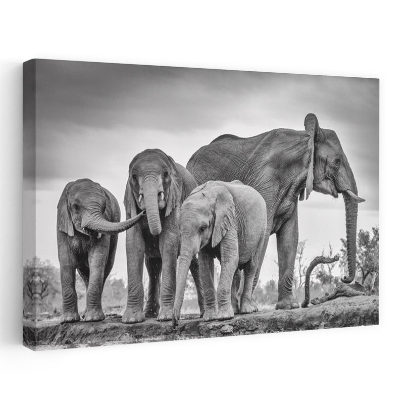 African Elephants At Waterhole Contemporary Elephant Nature Wildlife Wall Art Print by Jaco Marx - Wrapped Canvas Print