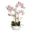 Arrangement de soie orchidée en pot-823644235