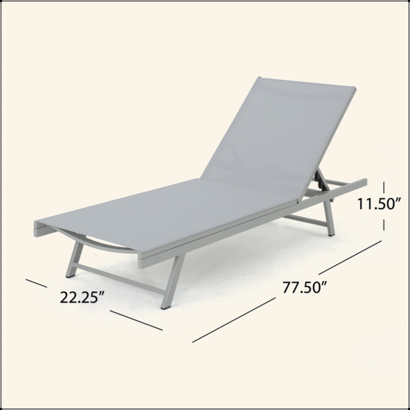 Chaise longue d'extérieur luxueuse pour une détente et des loisirs ultimes, 2 pièces, Gris clair, 2