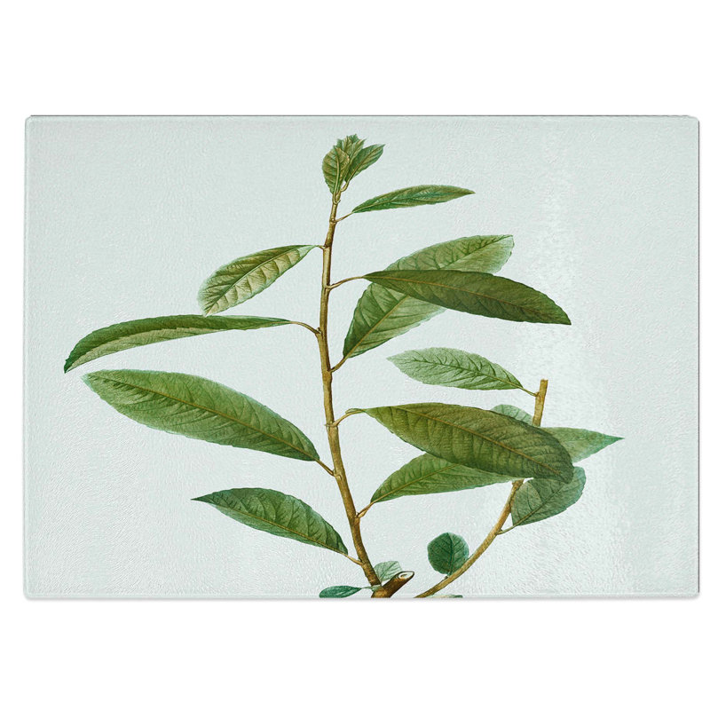 Glass Grey Willow Tree Branch by Pierre-Joseph Redoute Chopping Board, 39 cm W x 28.5 cm L