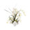 White Phalaenopsis Orchids Arrangements in Vase