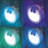 Intex Multi-Colored Spa Light & Cup Holder 2-Pack & Type S1 Pool Filters 6 Pack