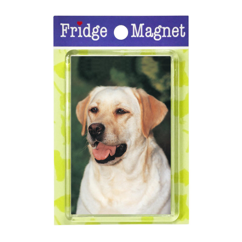 Fridge Magnet