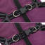 Pet Carrier-184380509-184380507