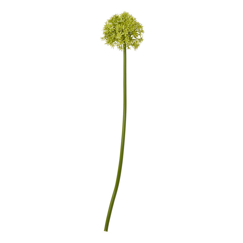 Arrangement, 80 cm H x 16 cm W x 16 cm D, Green
