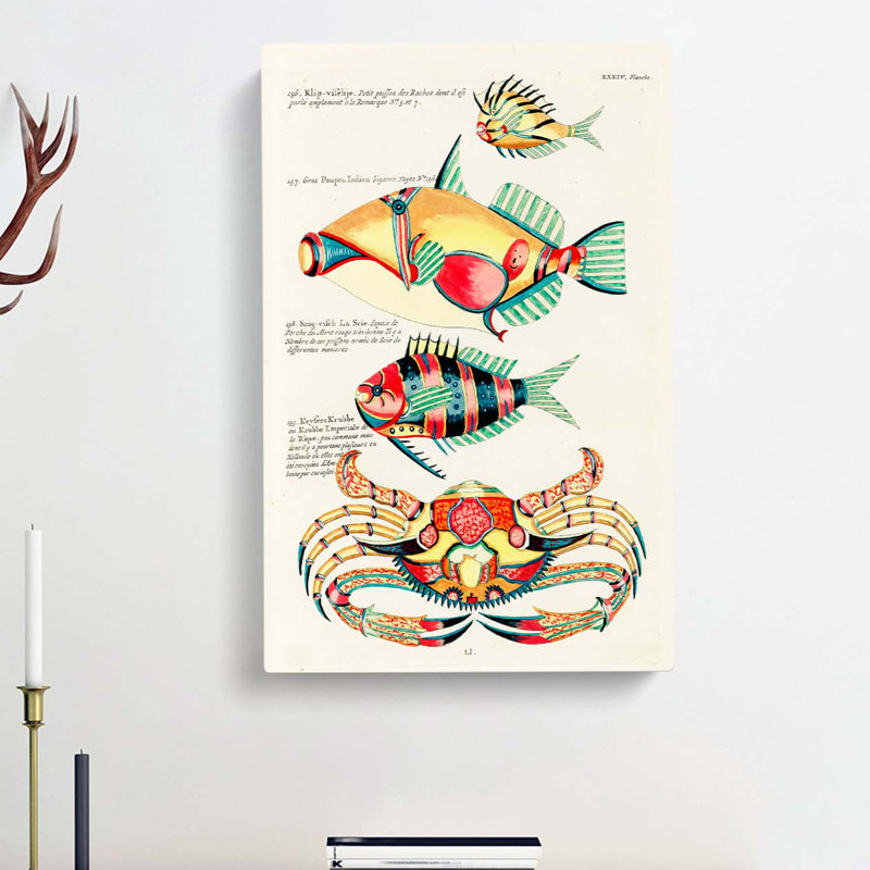 East Indies Fish & Crab Illustrations XXXIV by Kawanabe Kyosai - Wrapped Canvas, 50cm H x 35cm W x 3cm D