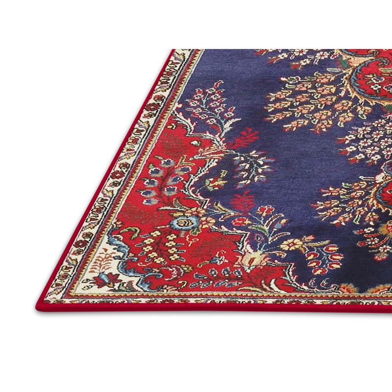 Lairgnen Oriental Indoor Rug, Rectangle 5' x 7'