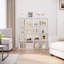 Ruffo 141cm H x 71cm W Standard Bookcase