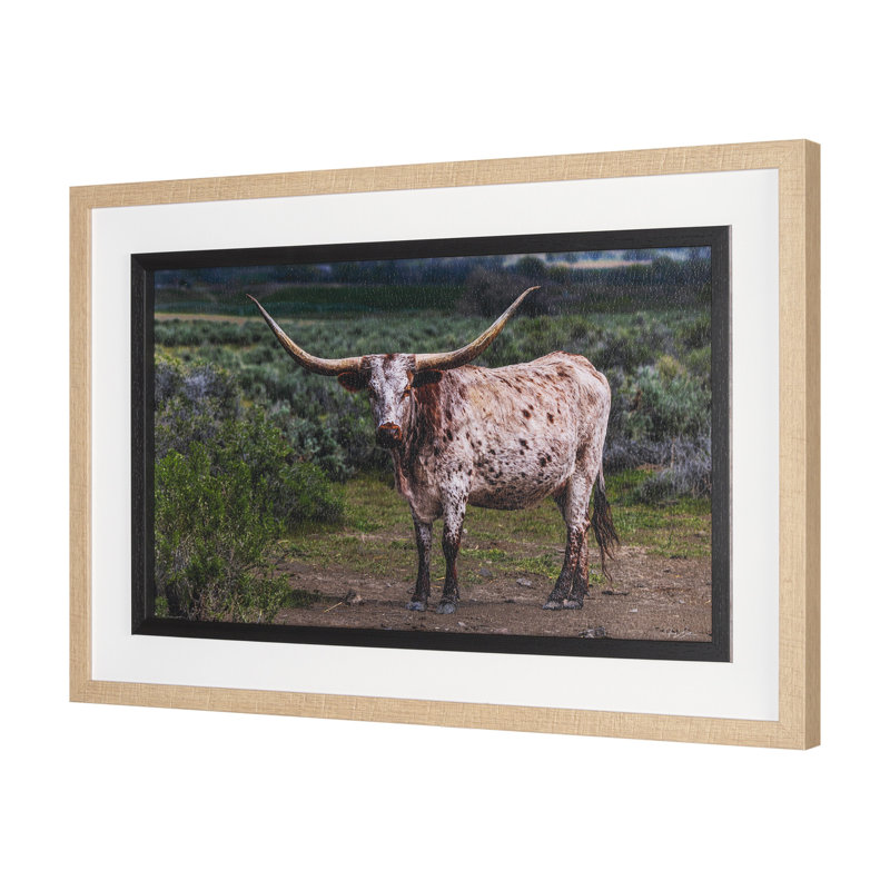 Marjanna 5 par Gary Blatter, reproduction d'art encadrée à la main avec passe-partout, Longhorn 1, 31.5L x 1.6W x 21.5H