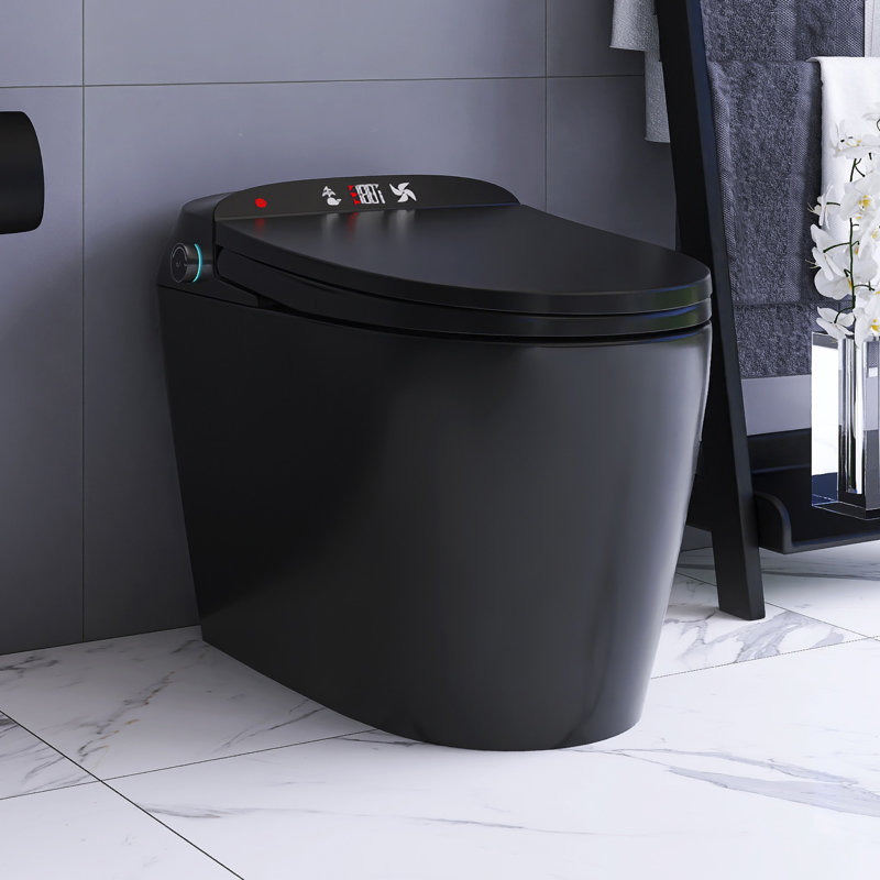 Black Smart Toilet With Side Control Knob