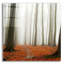 «Autumn Forest Floor» par Photoinc Studio, art mural en verre acrylique-2062904279
