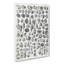 Study Of Mollusc Shells XX by Oliver Goldsmith - Wrapped Canvas-55337963