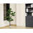 55" Artificial Faux Bonsai Tree