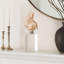 Figurine Oakden Coastal Seashell Sculpture-2049609556