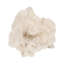 Sagebrook Home 12" Polyresin Coral Fan Decor, Ivory