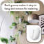 Wall Planter