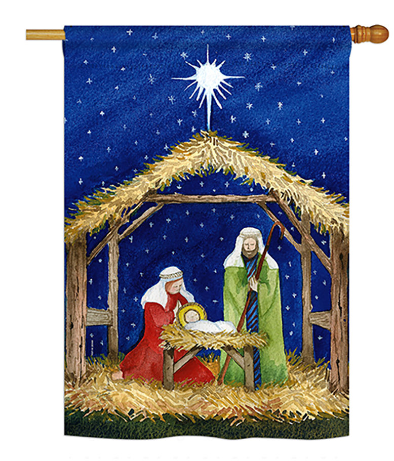 Cardew Double Sided 40'' H x 28'' W Polyester House Flag The Holiday Aisle®