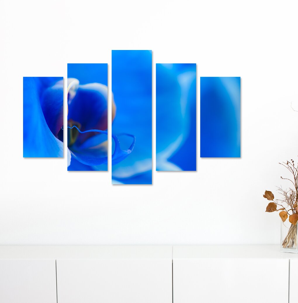 5-tlg. Leinwandbilder-Set Blaue Orchidee