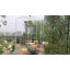 Tonnelle de jardin en métal pour plantes grimpantes, décoration de mariage pour l'extérieur-113888432