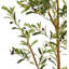 Olive artificielle 77 po en pot