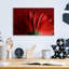 "Red Gerbera On Red 09" par Tom Quartermaine-313531361
