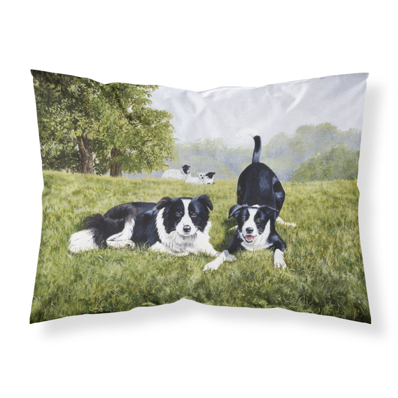 Border Collie Microfiber