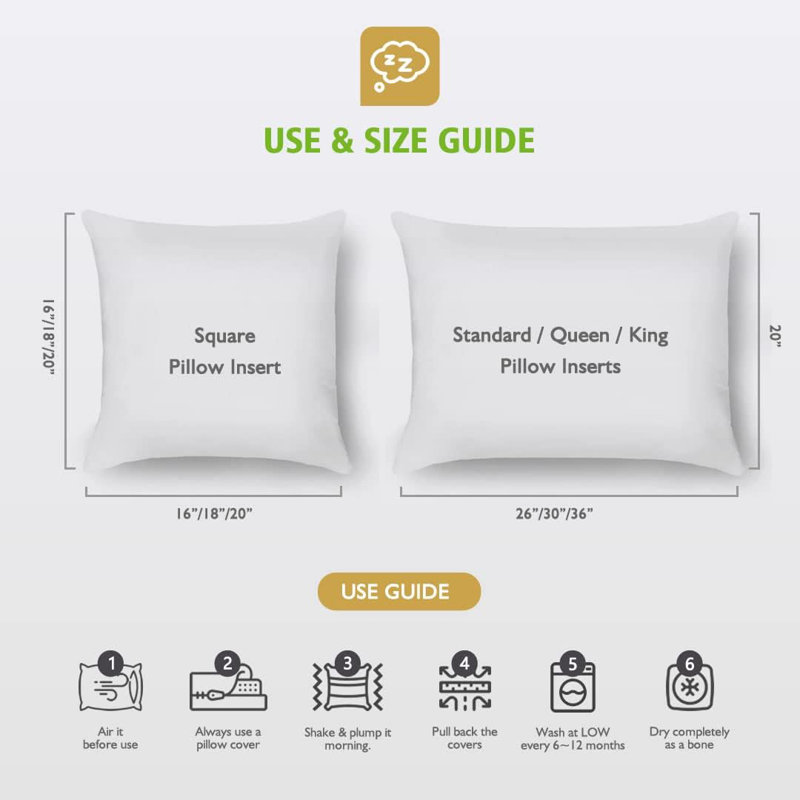 100% Cotton Feather Down Reversible Euro Square Pillow Set of 2, 20"H x 20"W