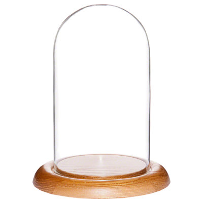 Cloche en verre 4 "x 7" Jenett