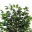Ficus artificiel 4 ', contenant en plastique-1933214930