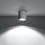 Nifleim Flush Mount