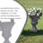 19.25'' Delphine Black Urn