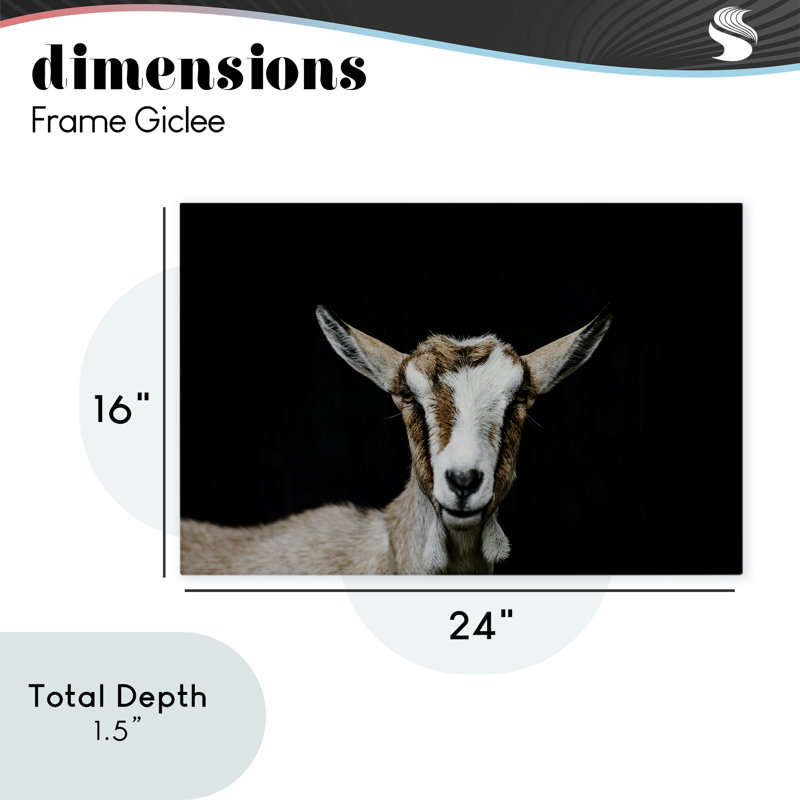 Goat Face over Black Canvas, design by Amy Carroll